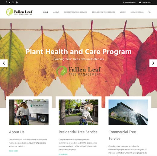 Fallen Leaf Tree Homepage